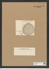 Triceratium subrotundatum A. Schm. (de-Toni-Nr.: Genus 140, Species 3729) Zeichnungen Sammlung Grunow Nr. 7236 (NHMW-BOT-W0376231)